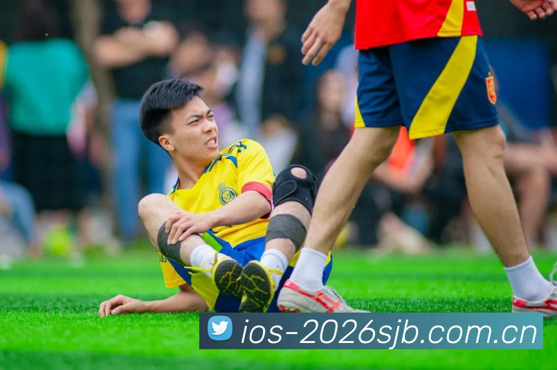 FIFA官方认证