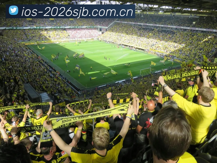 2026世界杯官方数据平台